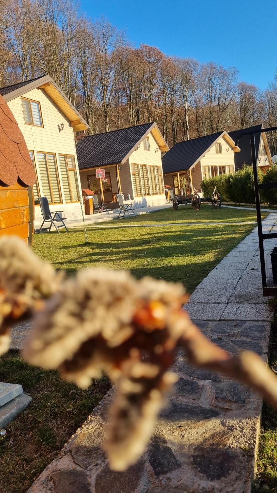 La Maria Si Ioana Leilighet Curtea de Argeş Eksteriør bilde